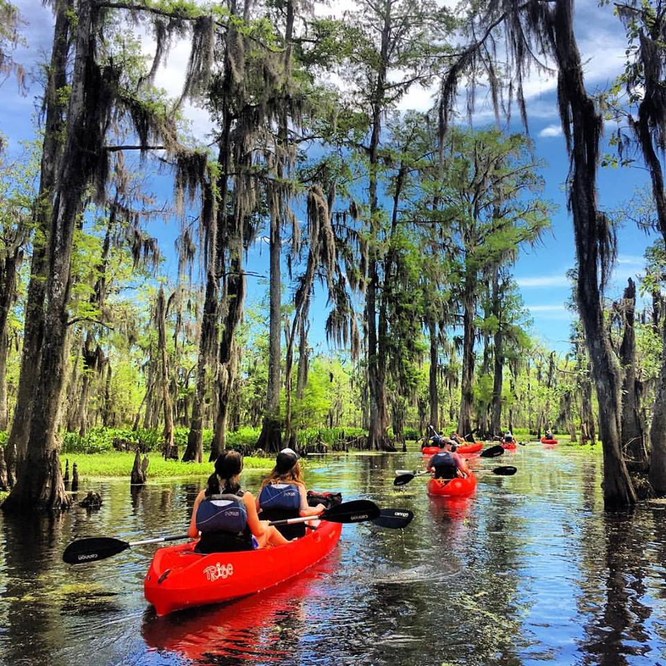 Best Kayak Tour in Nola